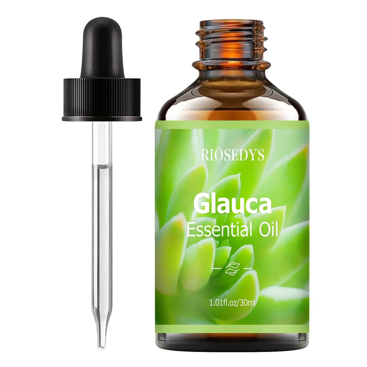 Huile essentielle de glauca, huile parfumée aux notes fraîches et vertes pour diffuseurs, projets de