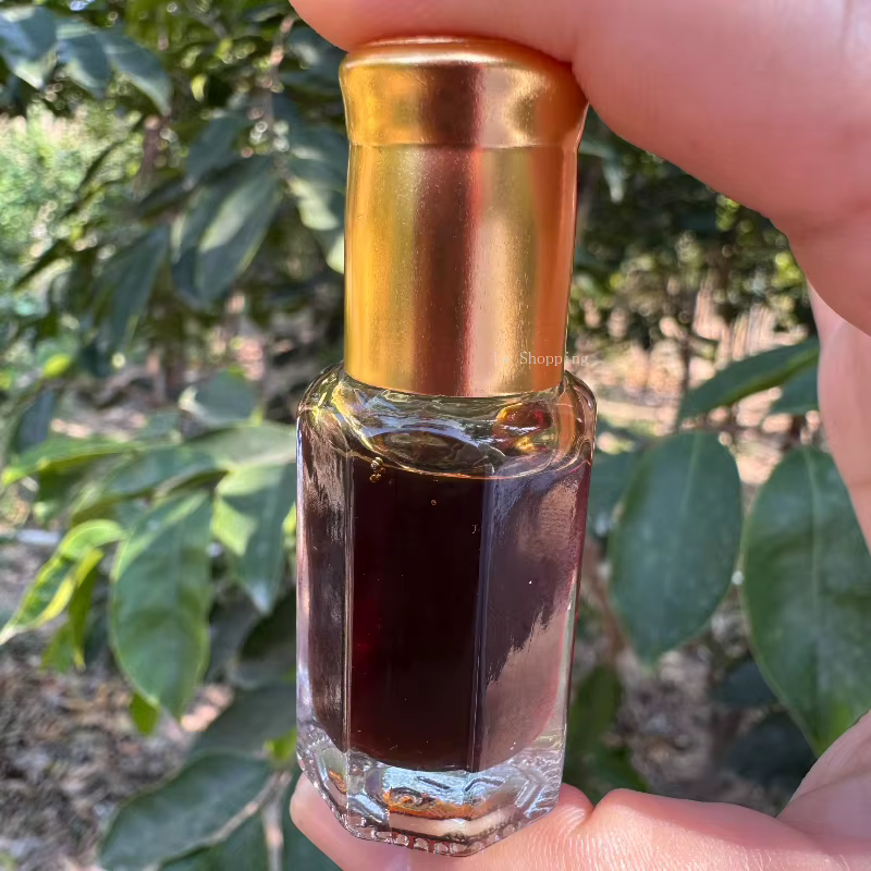 Huile essentielle de bois d'agar Qinan, matériaux anciens haut de gamme, pour salon de thé, purifie l'air et élimine les odeurs et calme l'esprit, 6g